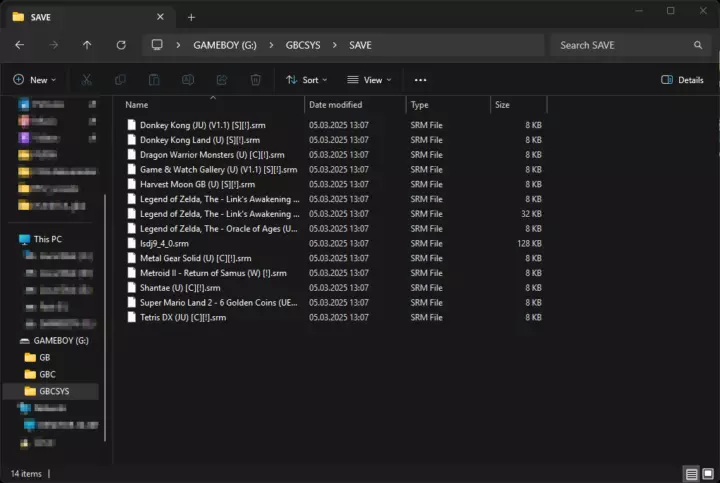 Screenshot from the Windows file browser