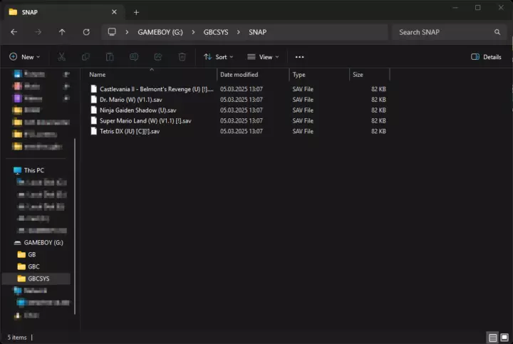 Screenshot from the Windows file browser