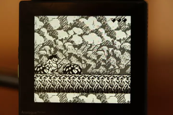 Analogue pocket running a game