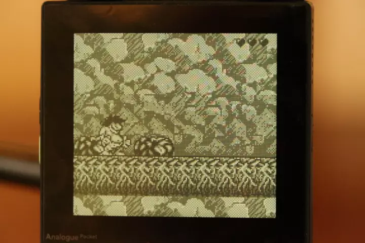 Analogue pocket running a game