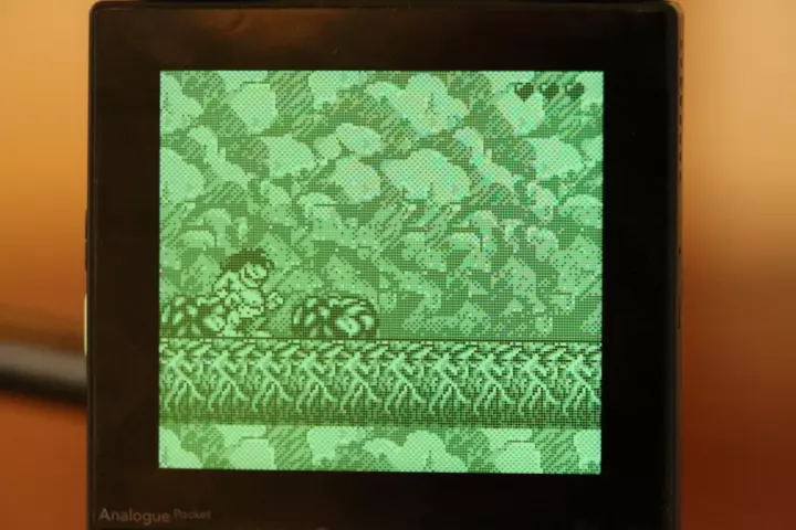 Analogue pocket running a game