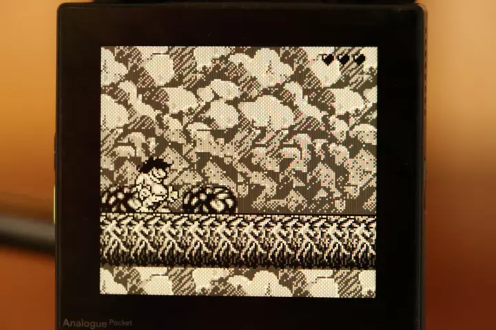 Analogue pocket running a game