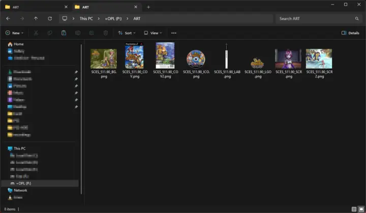 Screenshot from Windows File Explorer